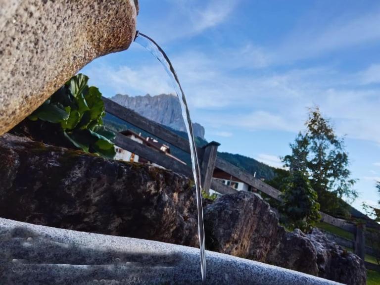 Garni Hotel Iris Sëlva di Val Gardena Eksteriør billede