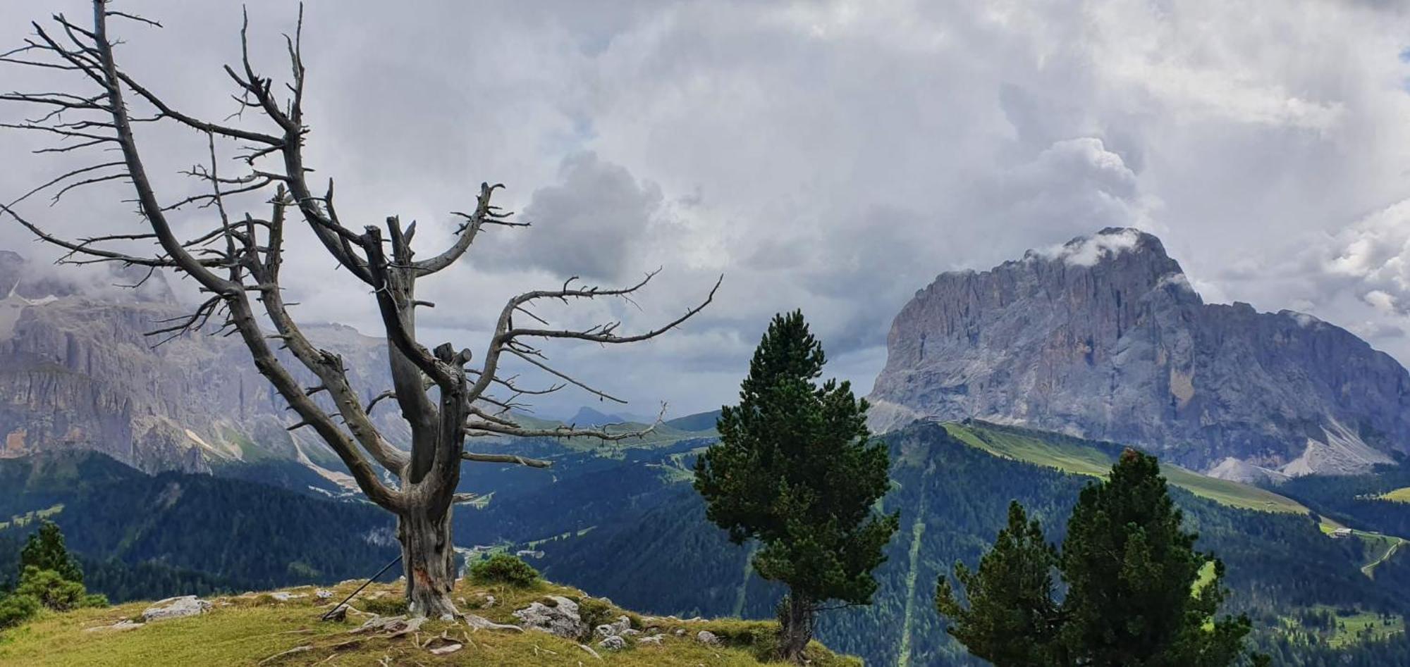 Garni Hotel Iris Sëlva di Val Gardena Eksteriør billede