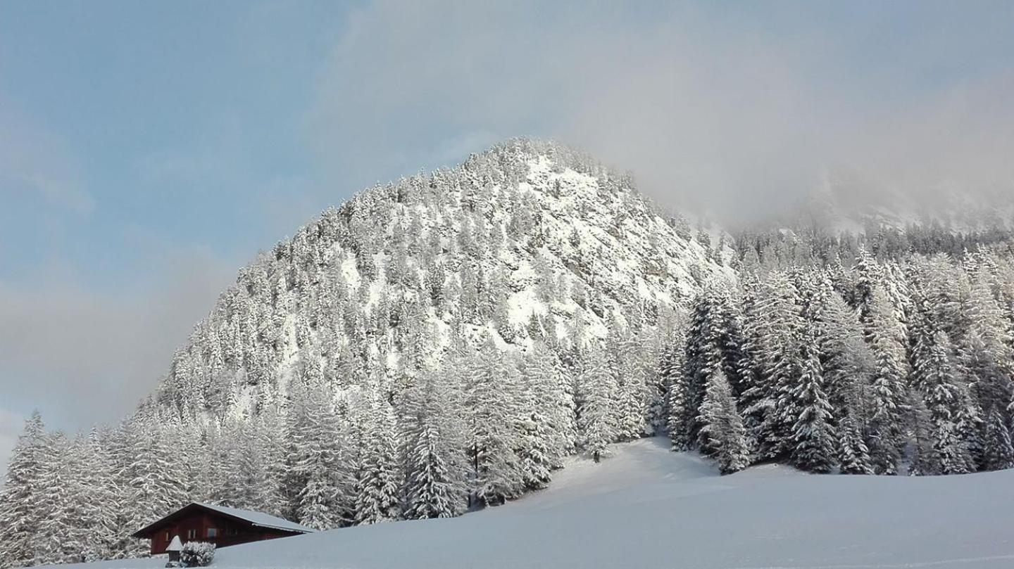 Garni Hotel Iris Sëlva di Val Gardena Eksteriør billede