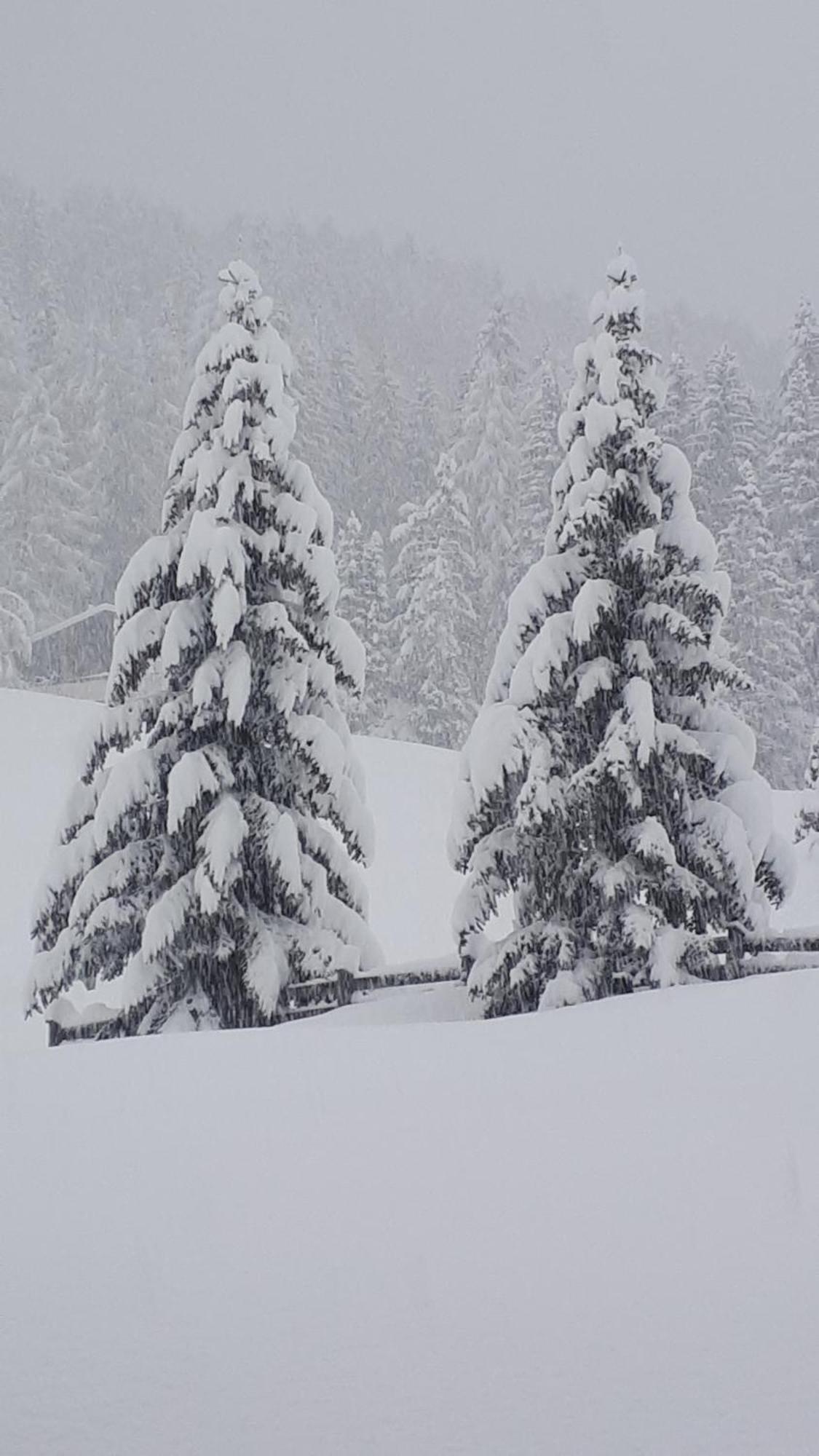 Garni Hotel Iris Sëlva di Val Gardena Eksteriør billede