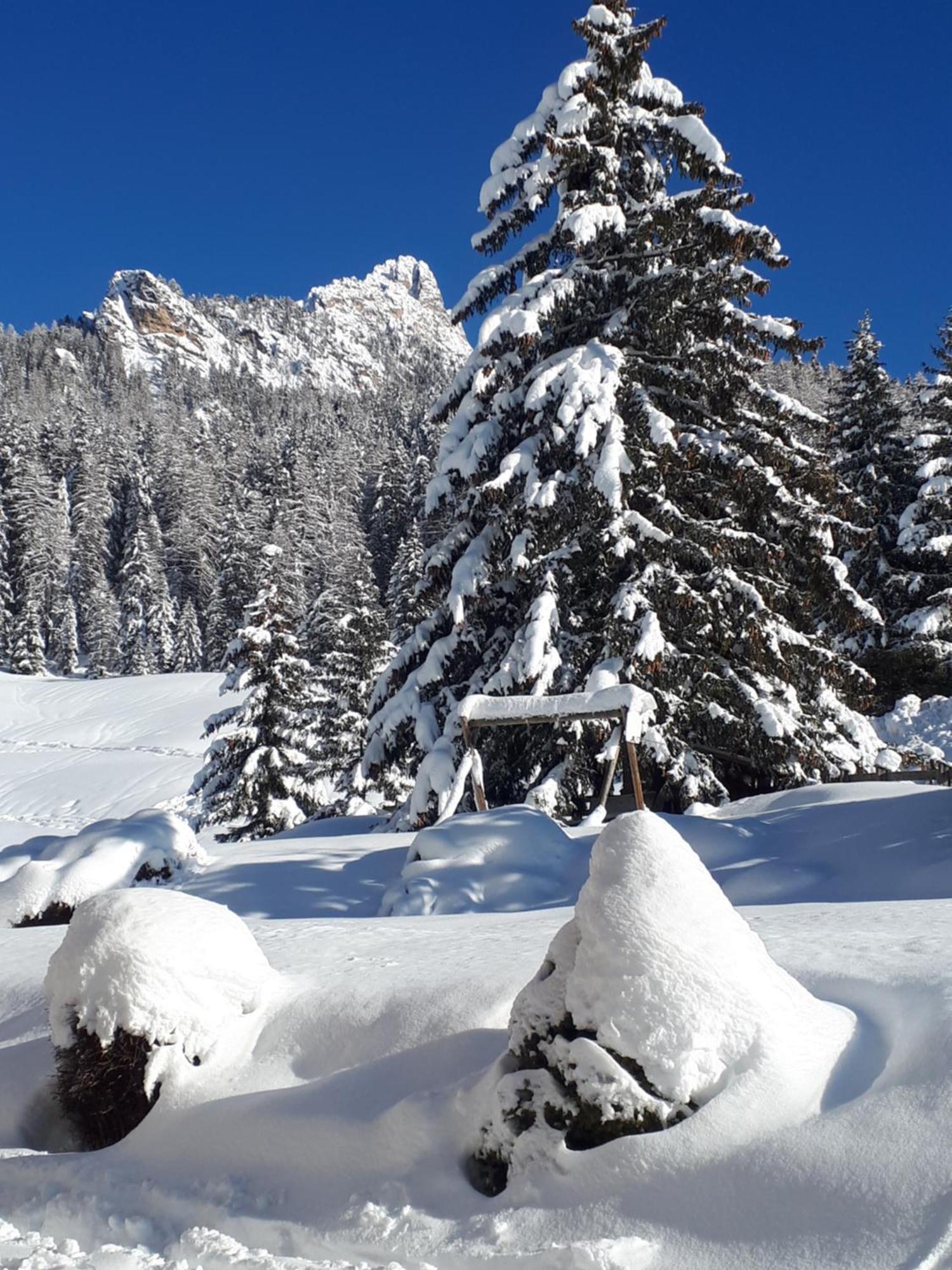 Garni Hotel Iris Sëlva di Val Gardena Eksteriør billede